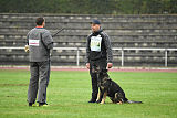 Grisu vom Wolfsdreieck