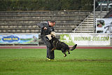 Grisu vom Wolfsdreieck