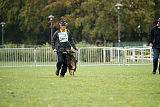 Kirio vom Ortenberg