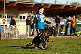 Lamar vom Wolfsheim