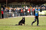 Iwo vom Lappwald