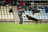 Perro von der schwarzen Natter