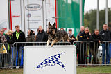 Champ vom Rischebachtal