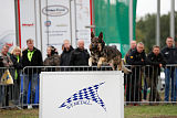 Champ vom Rischebachtal