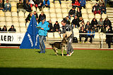 Champ vom Rischebachtal