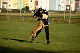 Aica von Paccharun
