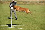 High Drives Cenai