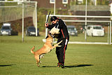 High Drives Dastan