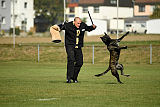 Ebby Fly Dogs Attak