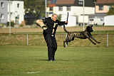 Ebby Fly Dogs Attak