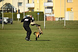 Kosta vom Brunsbeker Land