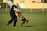 Gun vom Lausitzeck