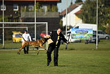 Gun vom Lausitzeck