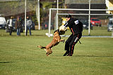 Gun vom Lausitzeck