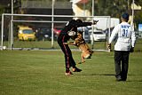 Gun vom Lausitzeck