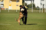 Gun vom Lausitzeck