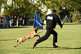Gun vom Lausitzeck