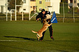 Chako vom Break Even Point