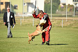 Xena vom Hause Diethelm