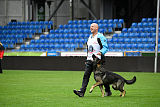 Aik vom Wolfsursprung