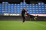 Aik vom Wolfsursprung