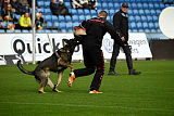Aik vom Wolfsursprung