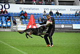 Racker vom Waisagrund