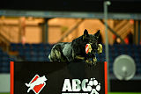 Gero z Berounske basty