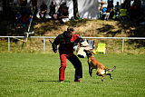Abby belgischer Wolf von Malihattan