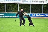 Gollum vom Tanneneck