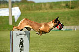 Marou vom Roten Juwel