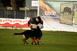 Yukon vom Gsiberger