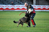 Boit Sako vom Marchberger