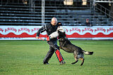 Boit Sako vom Marchberger
