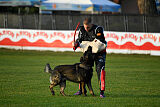 Boit Sako vom Marchberger