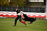 Airon von der Nilo World