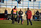 Leo de Jardines del Real