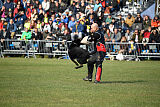 Panther z Berounské basty
