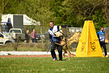 Bomra vom Giannioti Sports Dog