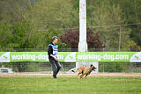 Chicka Force Canina
