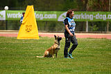 Indy vom Causa Nostre Letitia