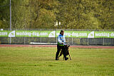 Tibsy Tore's Working Dogs